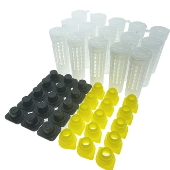 15PCS пластмасов защитен капак за запечатани клетки за кралица Въведение Клетка Virgin Honeycomb пчеларство пчеларство Инструменти Консумативи