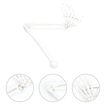 Hand Joint Model Arm Teaching Plasticard Modelling Articulated Bone Joints Pvc Mannequin