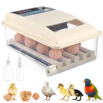 Инкубатор за яйца Интелигентен инкубатор Автоматичен инкубатор за яйца за пилешки яйца с EU Plug