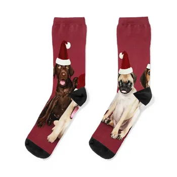 Коледни кучета Чорапи зимни термични чорапи туризъм Дизайнер Мъж Чорапи Дамски